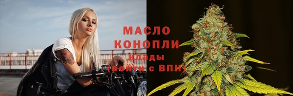 мдпв Вяземский