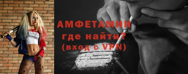 мдпв Вяземский