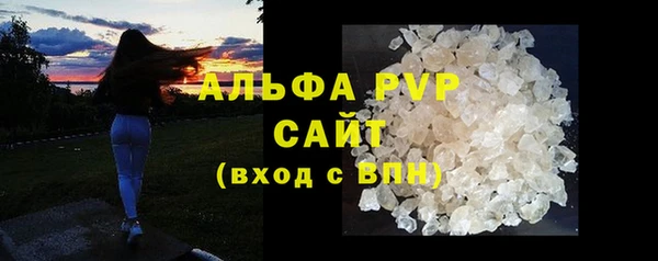мдпв Вяземский