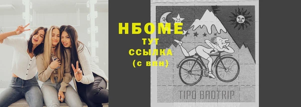PSILOCYBIN Вязники