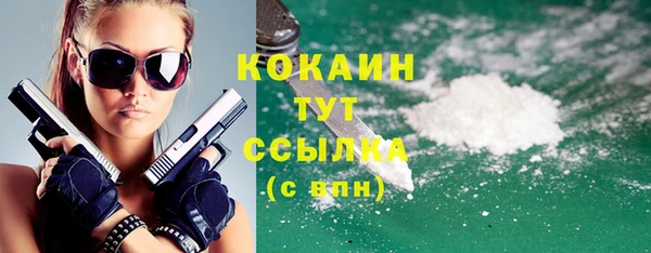 мдпв Вяземский