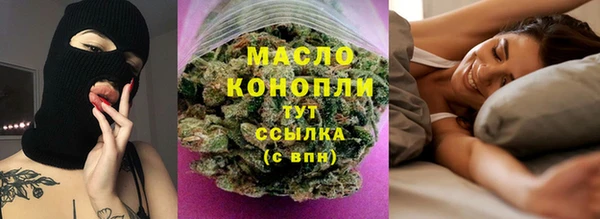 мдпв Вяземский